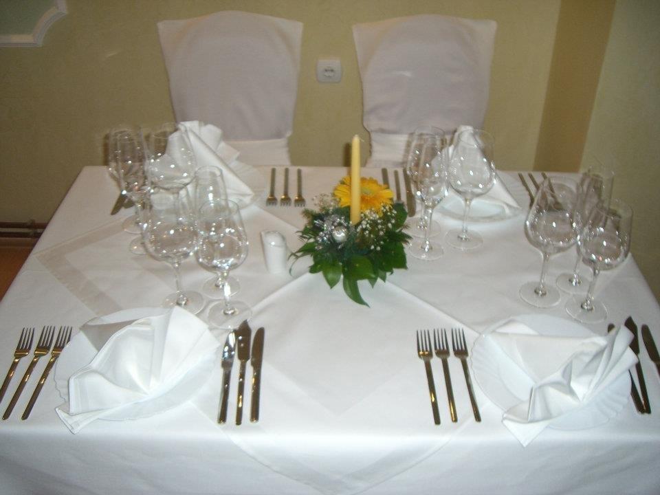 Vila Kristina Negotin Extérieur photo